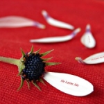 10 minutes that may save your marriage