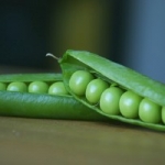 Help! My kid is a picky eater!