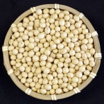 Soy and Fertility