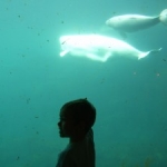 Fun things to do with the kids in Vancouver