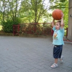 Top Ten Toddler Developments