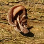 Get Your Kids to Listen to You Using Keywords